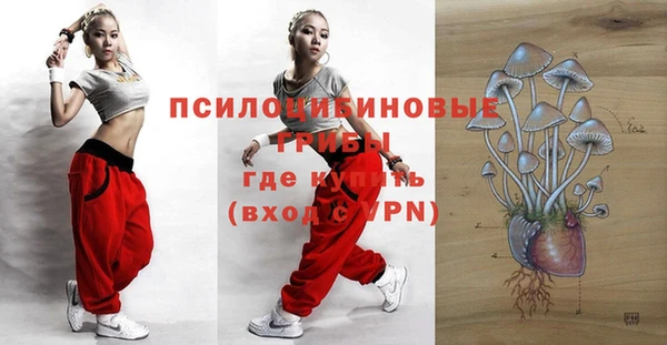 бутират Пересвет
